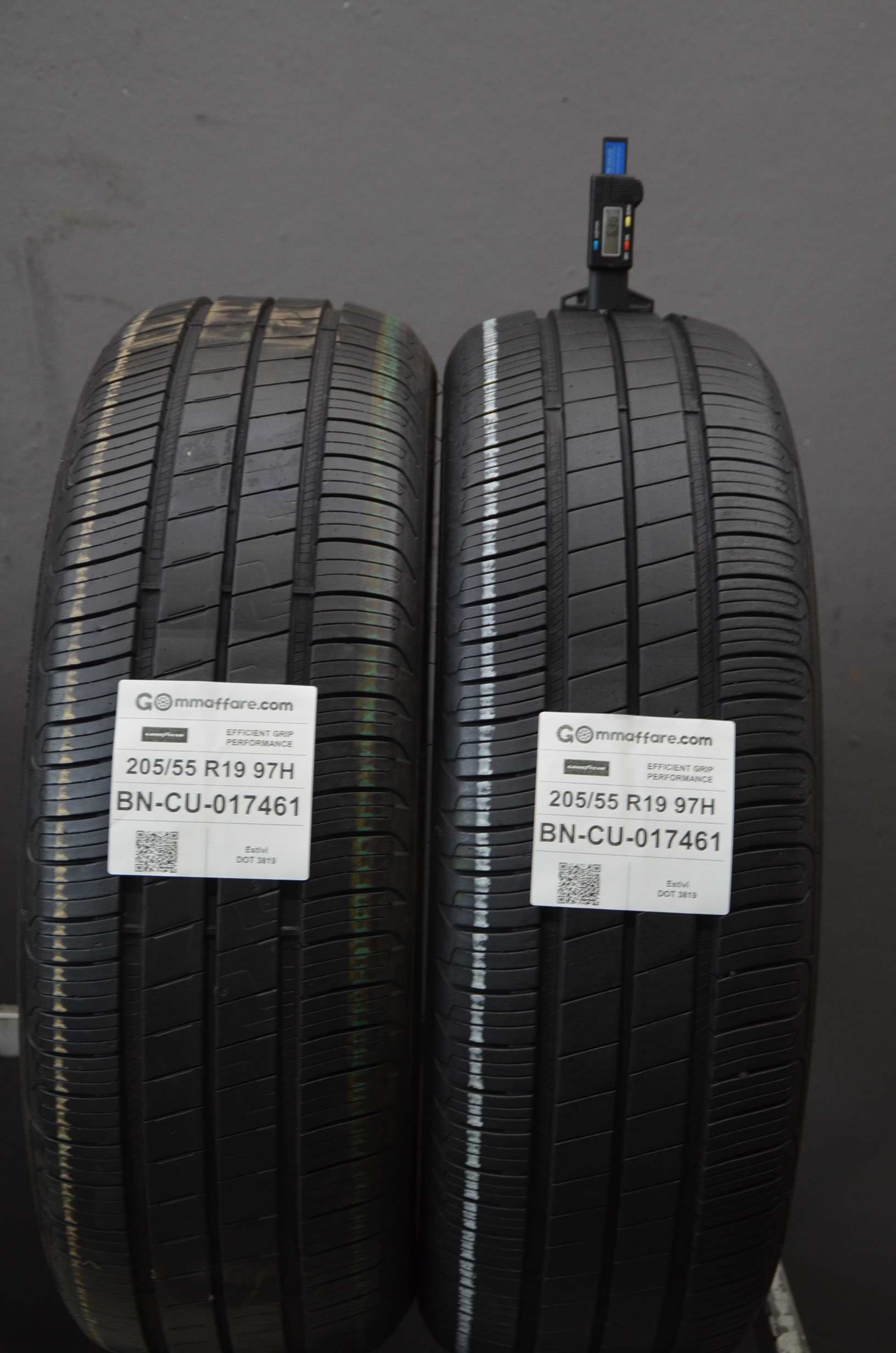 Goodyear EFFICIENT GRIP PERFORMANCE 205/55 R19