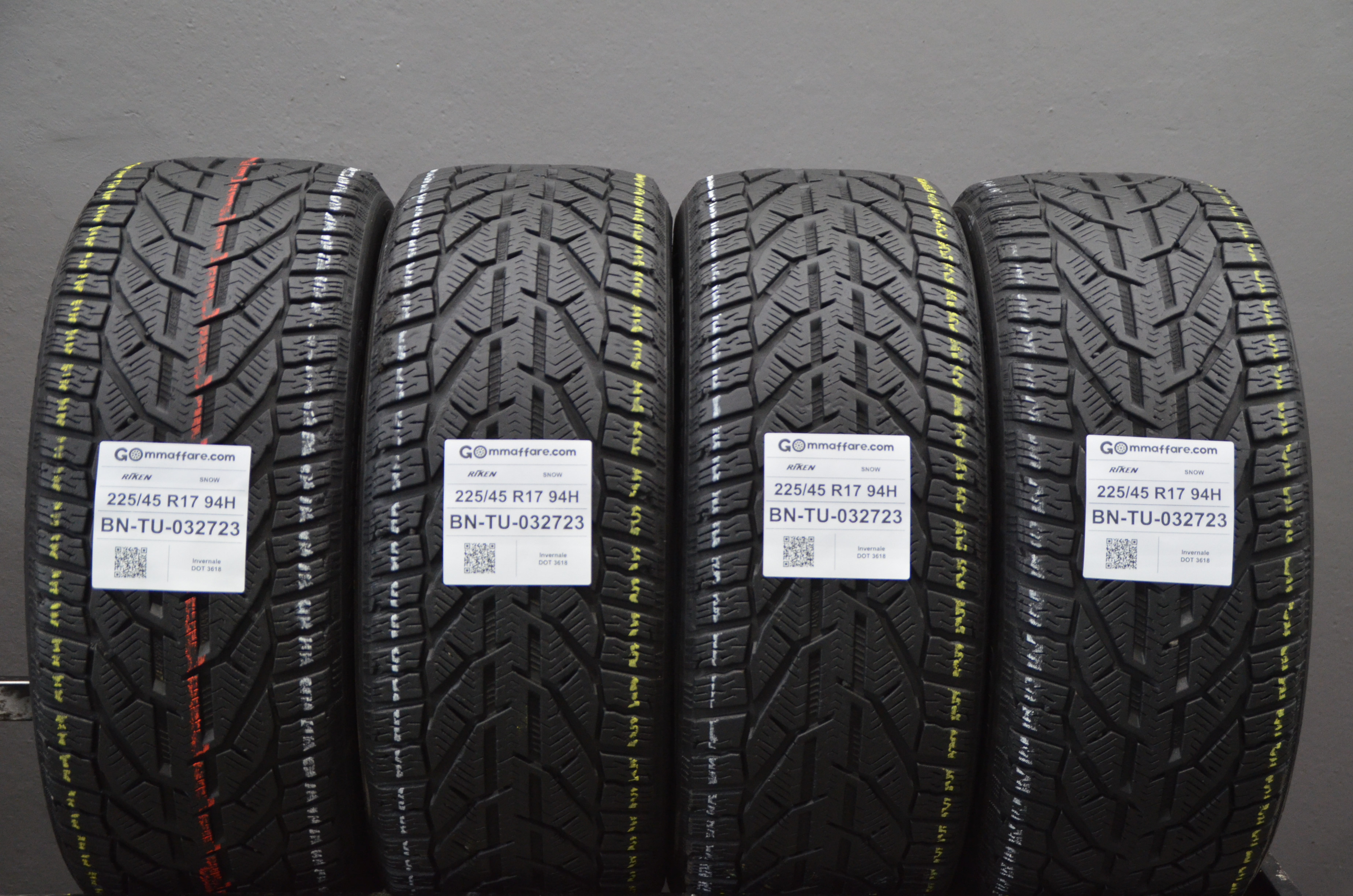 Riken SNOW 225/45 R17