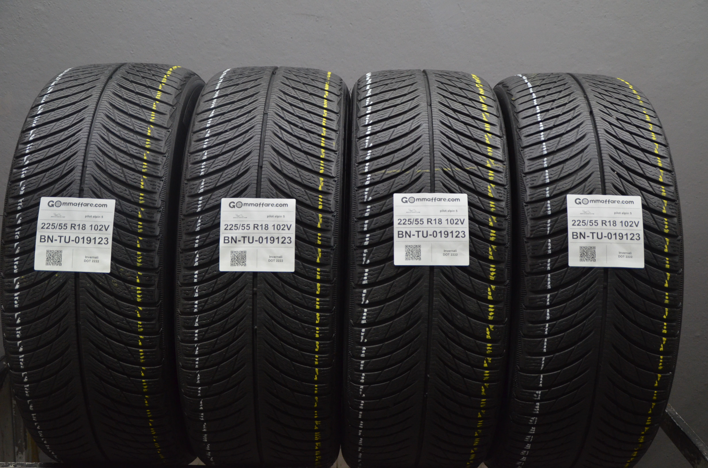 Michelin pilot alpin 5 225/55 R18